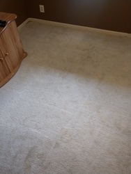 Tucker Carpet Solution Stonecrest 65