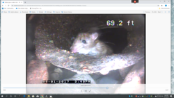 Drain Busters Eagan 1