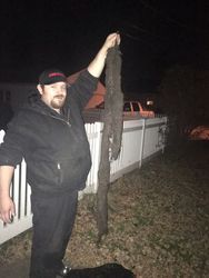 Drain Busters Eagan 7