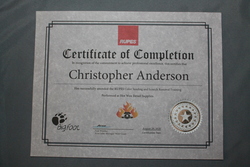 Anderson Auto Detailing Bixby 55