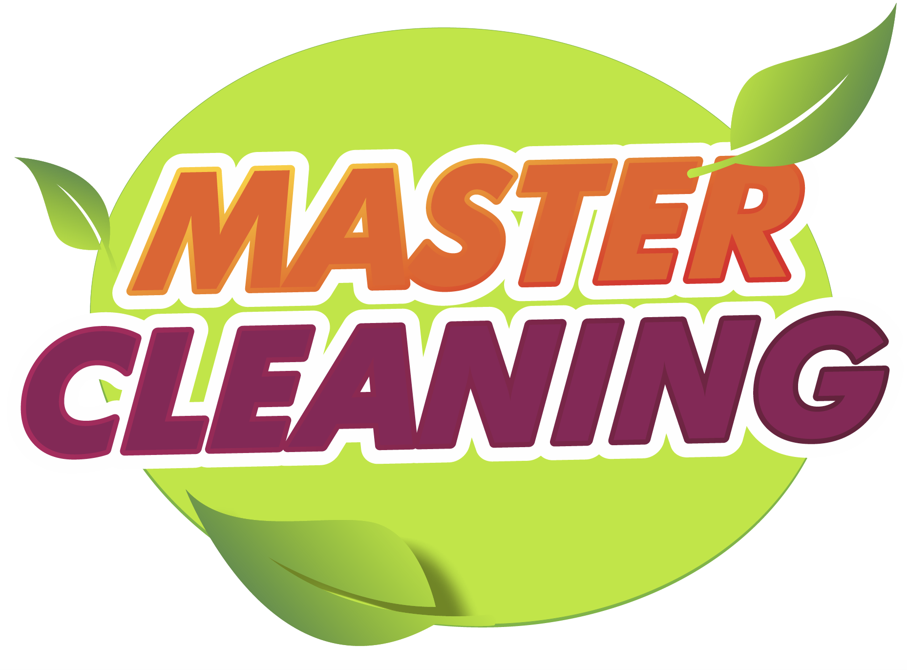 Master Cleaning
